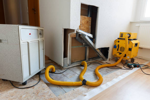 Best Air Quality Testing for Mold Spores  in Remsenburg Speonk, NY