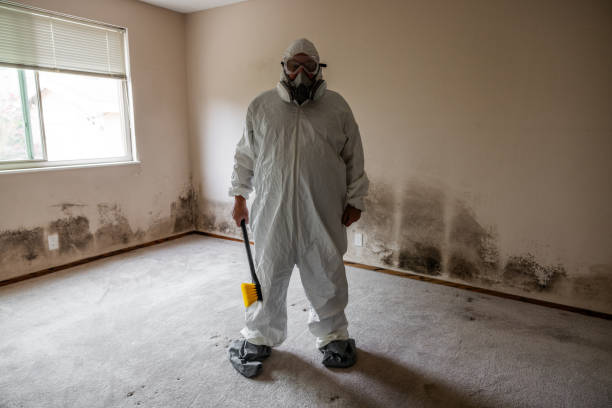 Forensic Mold Investigation in Remsenburg Speonk, NY