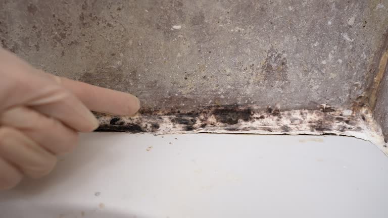 Best Mold Odor Removal Services  in Remsenburg Speonk, NY